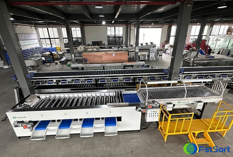 bell pepper sorting machine.jpg bell pepper sorting machine.jpg